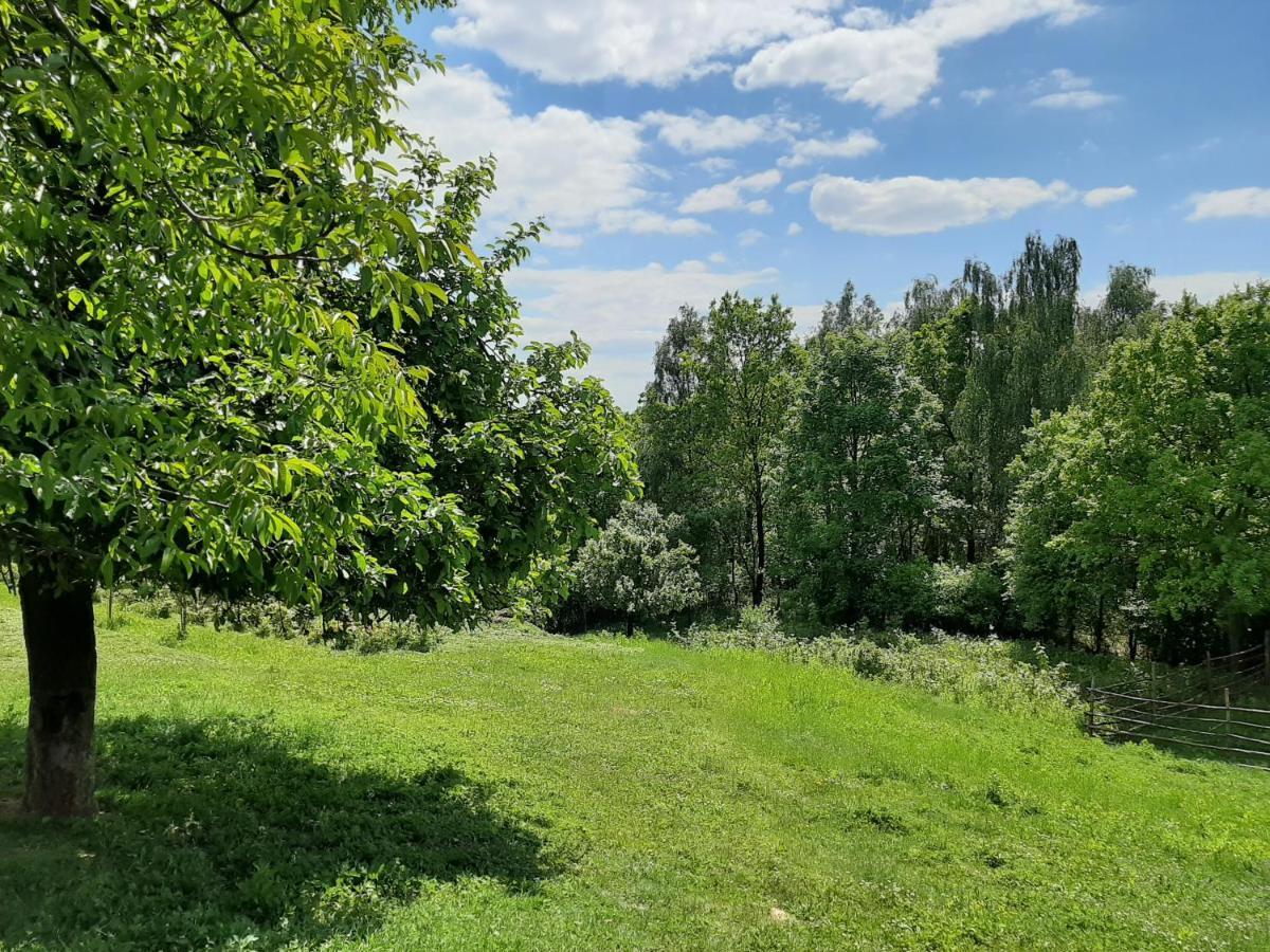 Villa Gosp. Agroturystyczne Stary Gaj à Zerkowice Extérieur photo