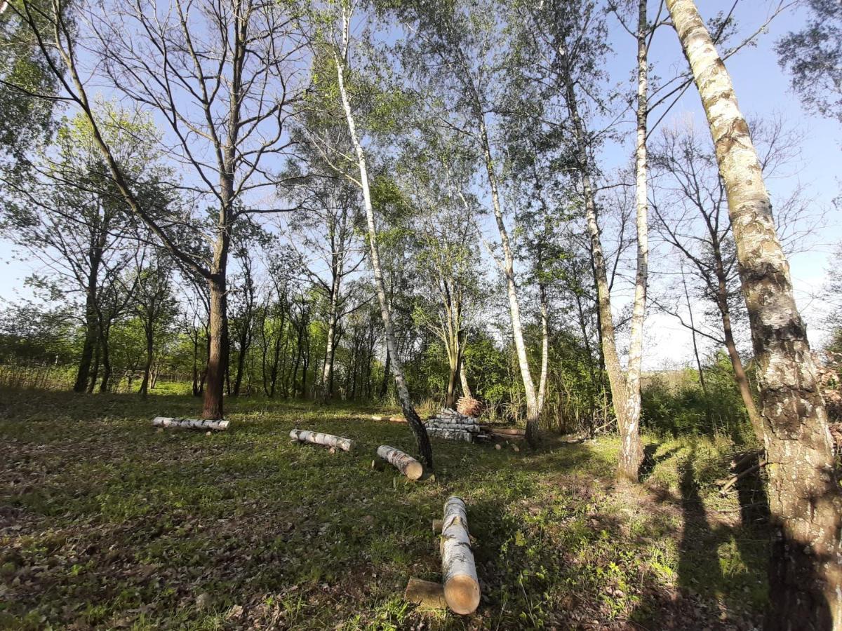 Villa Gosp. Agroturystyczne Stary Gaj à Zerkowice Extérieur photo