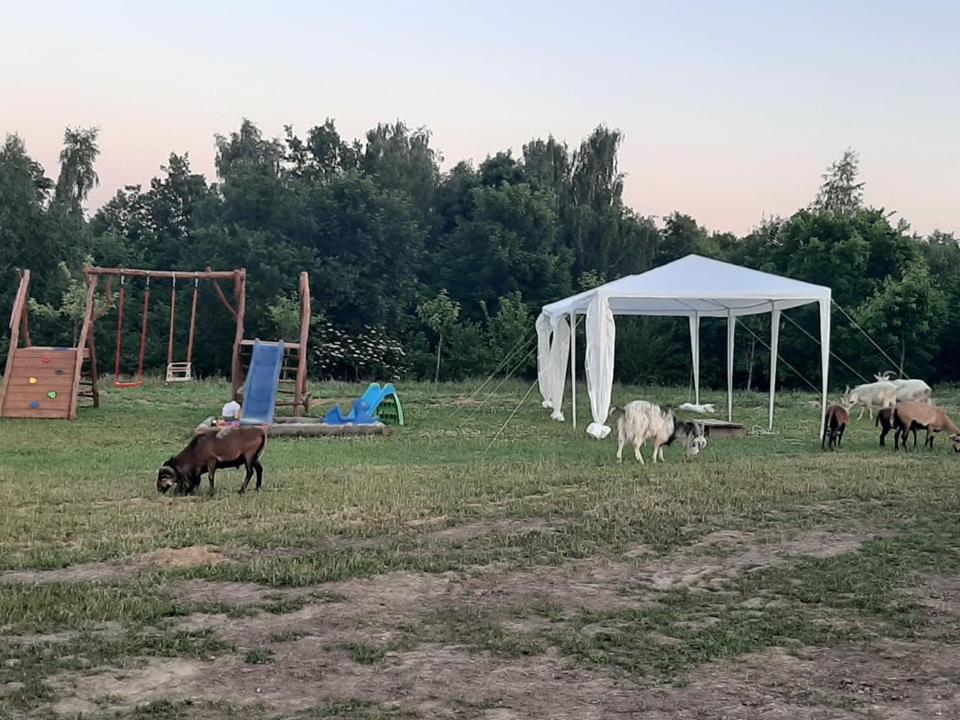 Villa Gosp. Agroturystyczne Stary Gaj à Zerkowice Extérieur photo