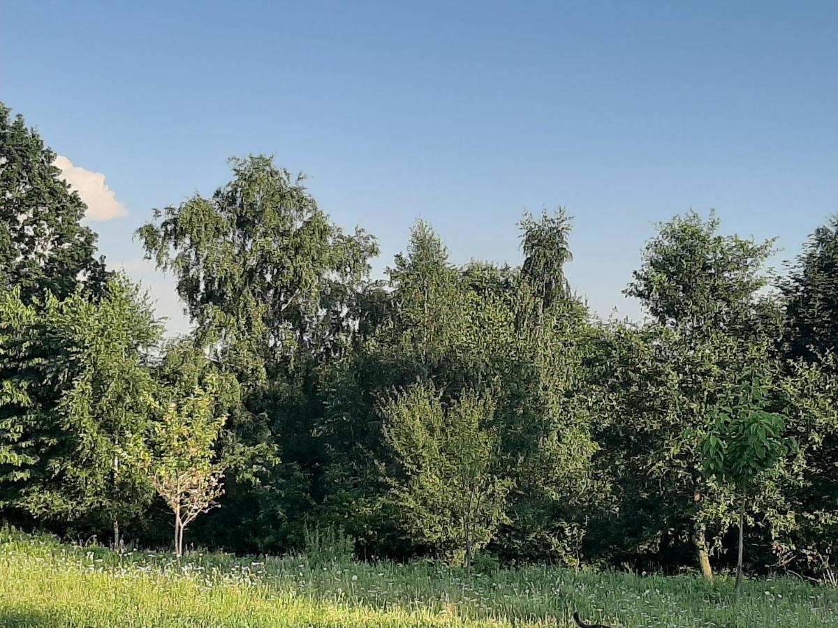 Villa Gosp. Agroturystyczne Stary Gaj à Zerkowice Extérieur photo